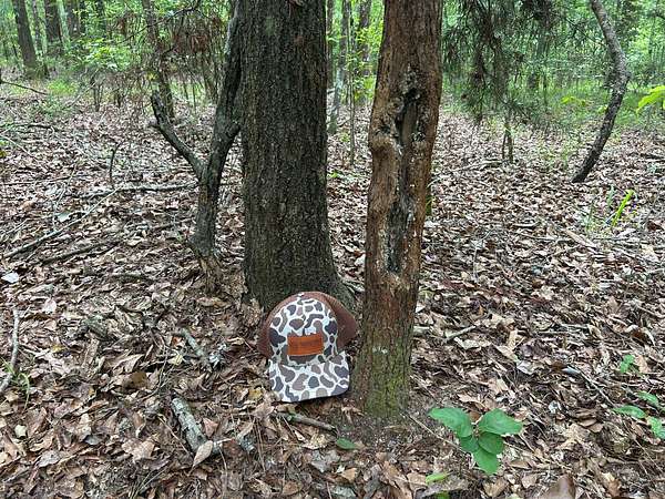 182 Acres of Recreational & Residential Land for Sale in New Brockton, Alabama