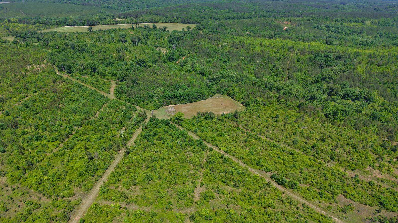 1,069 Acres of Recreational Land for Sale in Autaugaville, Alabama