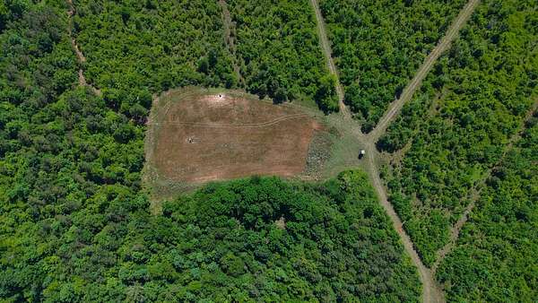 1,069 Acres of Recreational Land for Sale in Autaugaville, Alabama