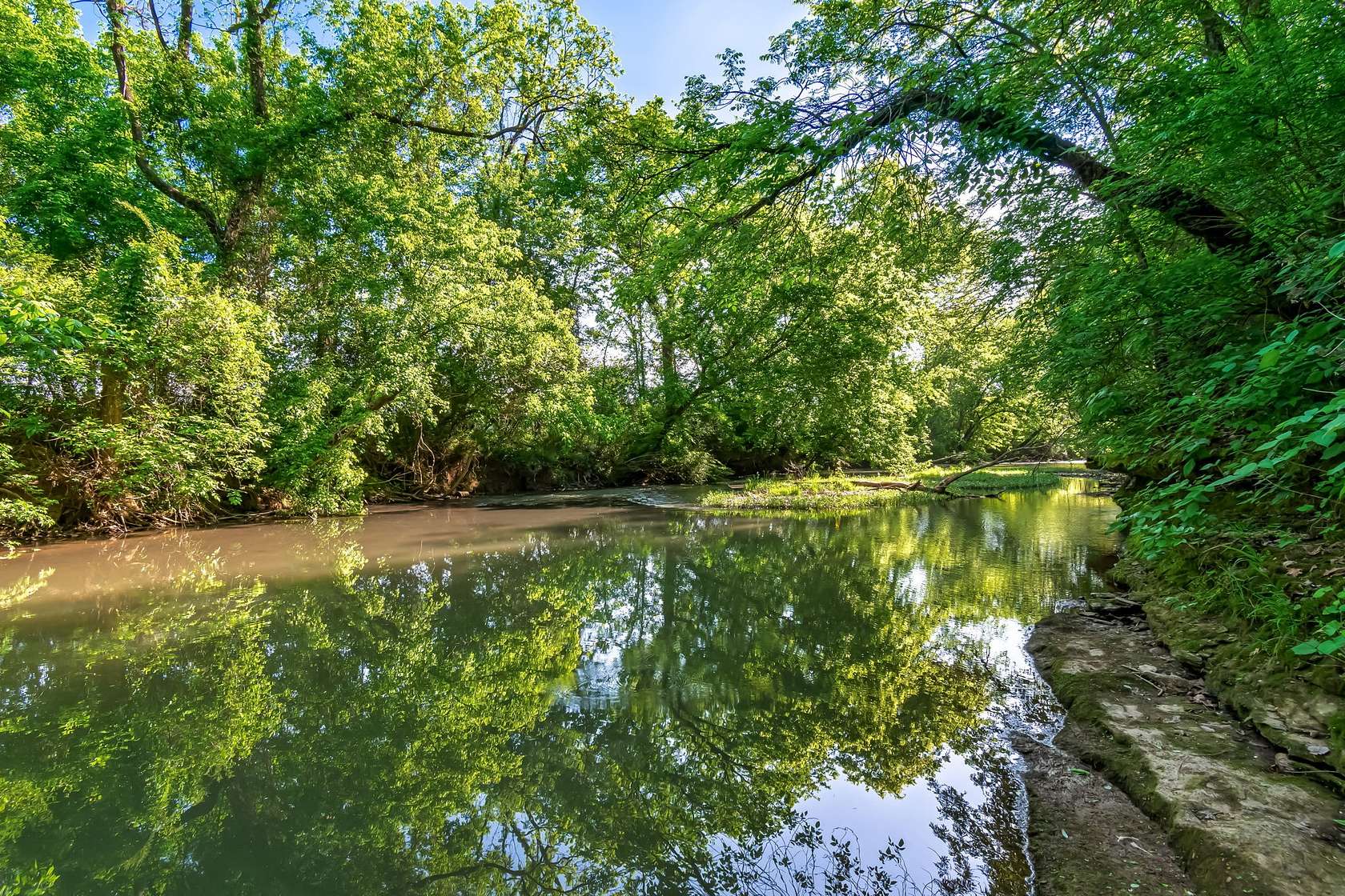 31.2 Acres of Land with Home for Sale in Pulaski, Tennessee