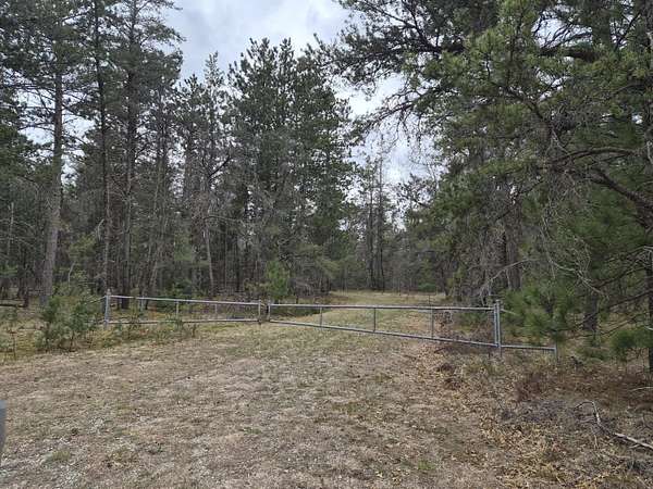 80 Acres of Recreational Land for Sale in Roscommon, Michigan
