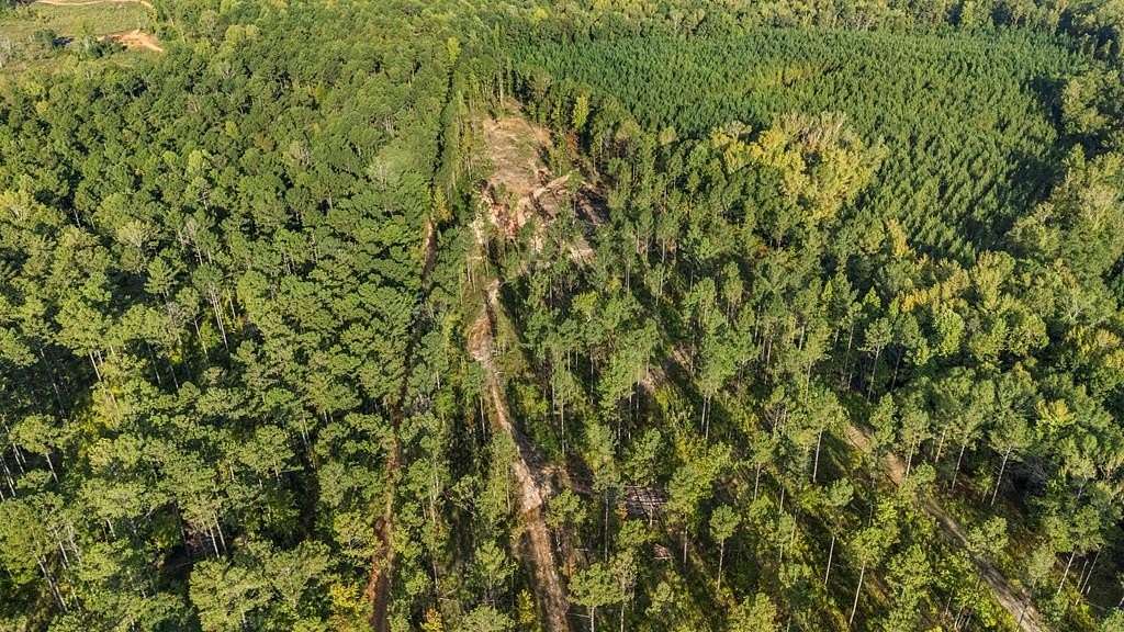 23.5 Acres of Recreational Land for Sale in Waverly Hall, Georgia