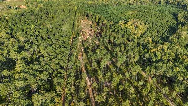 23.5 Acres of Recreational Land for Sale in Waverly Hall, Georgia