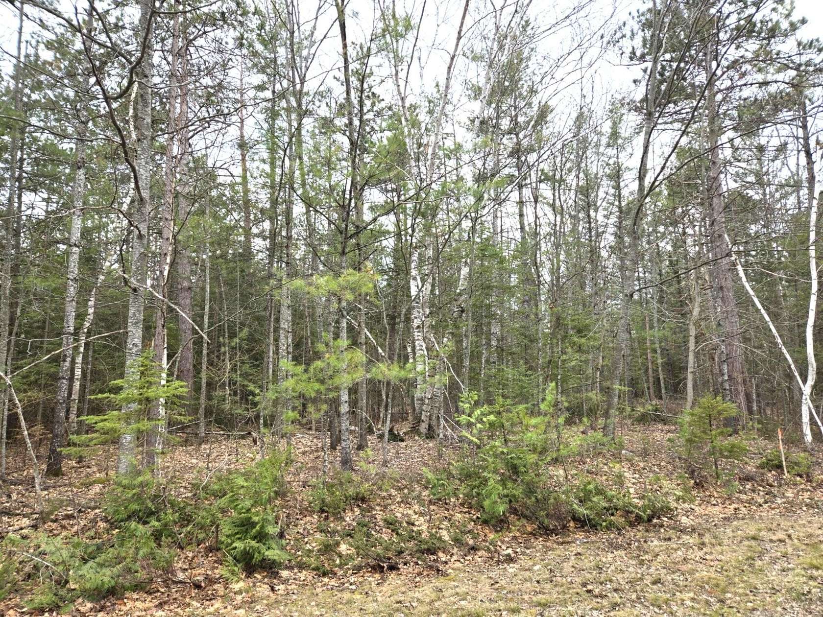 0.48 Acres of Land for Sale in Presque Isle, Michigan