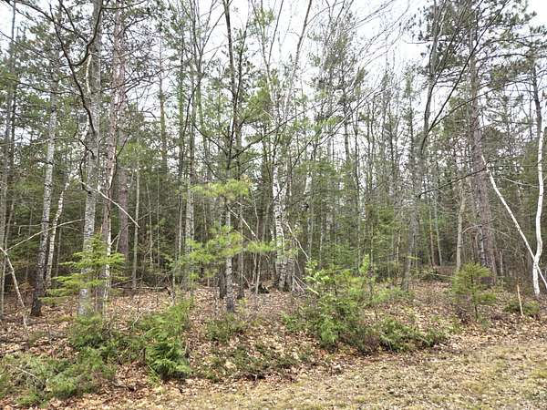 0.48 Acres of Land for Sale in Presque Isle, Michigan