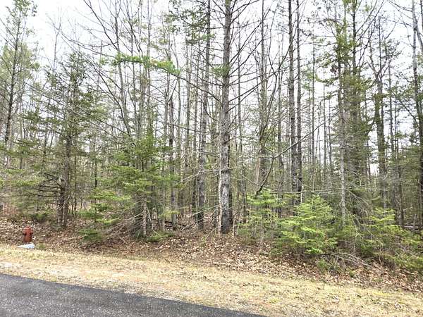 0.44 Acres of Land for Sale in Presque Isle, Michigan