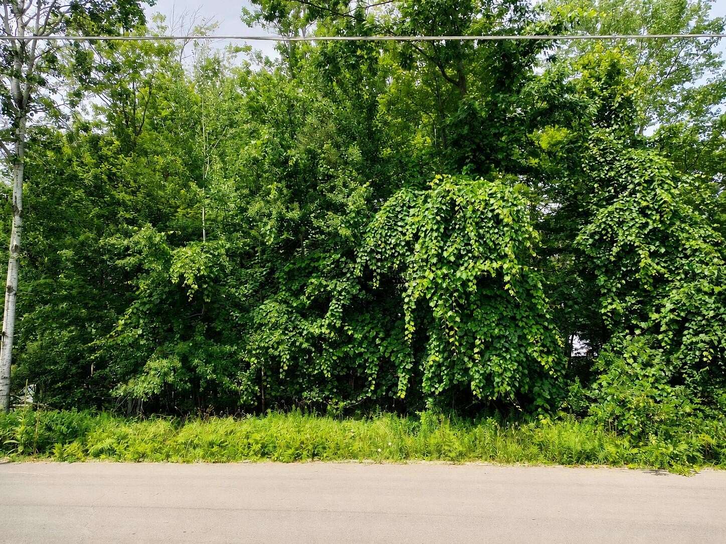0.22 Acres of Residential Land for Sale in Prudenville, Michigan