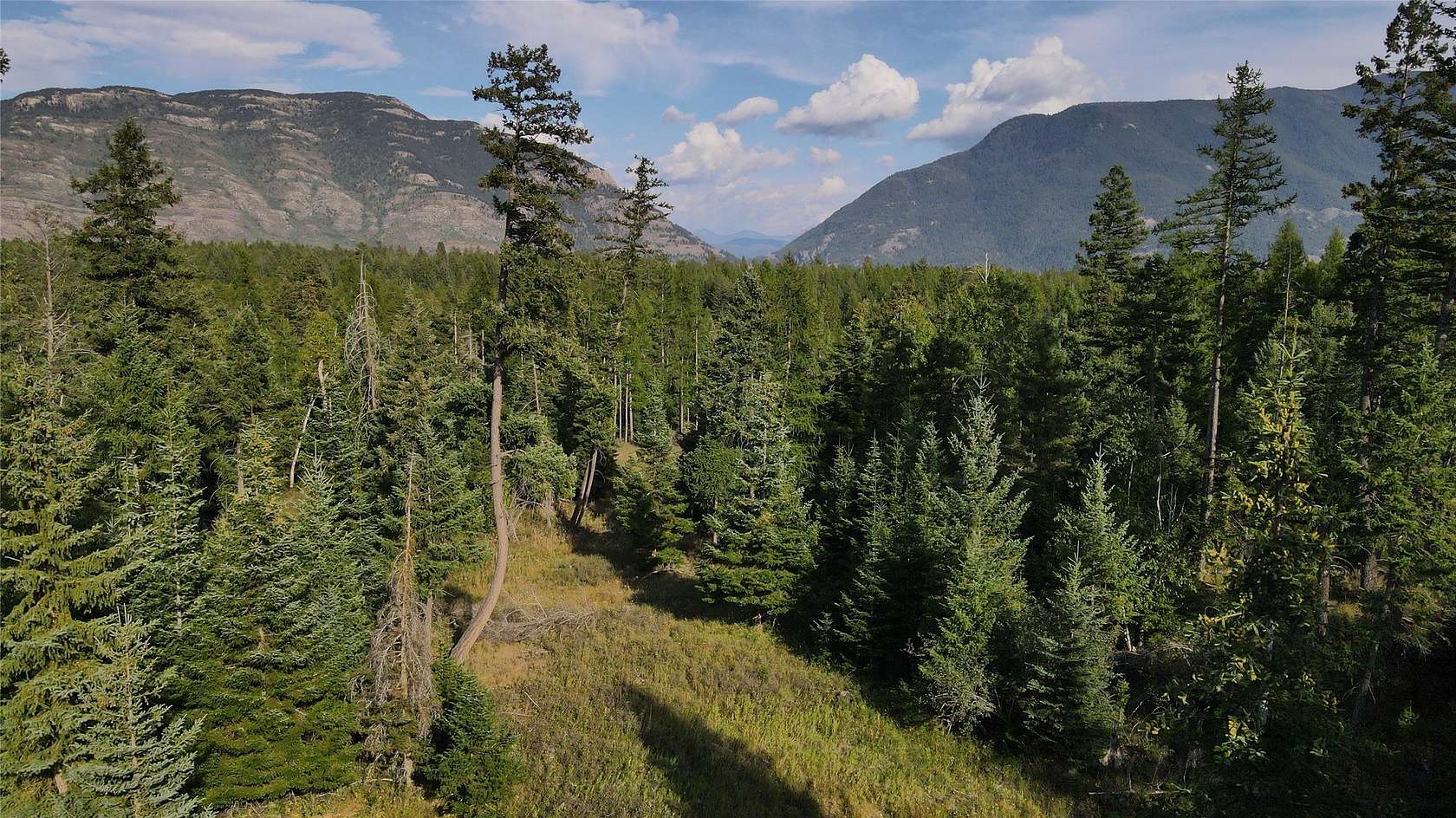 5 Acres of Agricultural Land for Sale in Columbia Falls, Montana