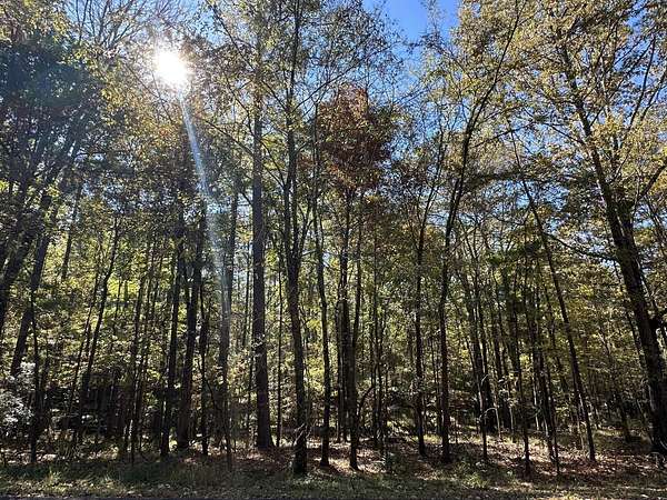 0.35 Acres of Residential Land for Sale in McCormick, South Carolina