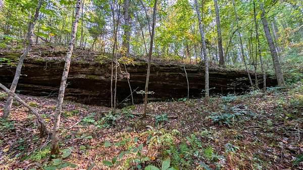 71.2 Acres of Recreational & Residential Land for Sale in Jackson, Ohio