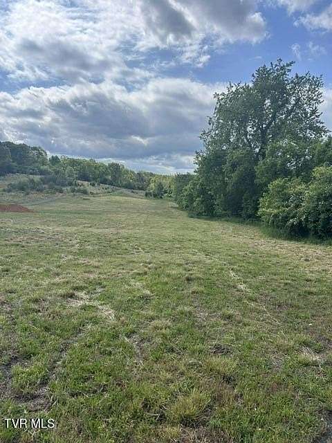 17 Acres of Commercial Land for Sale in Blountville, Tennessee