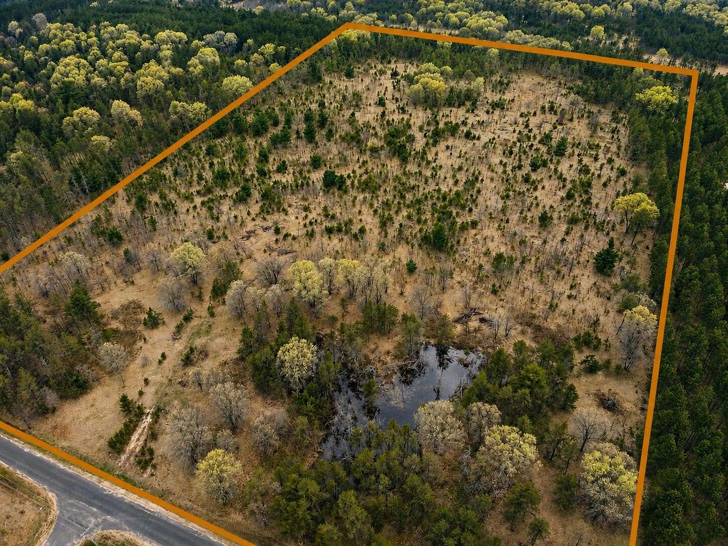 20 Acres of Recreational & Residential Land for Sale in Necedah, Wisconsin