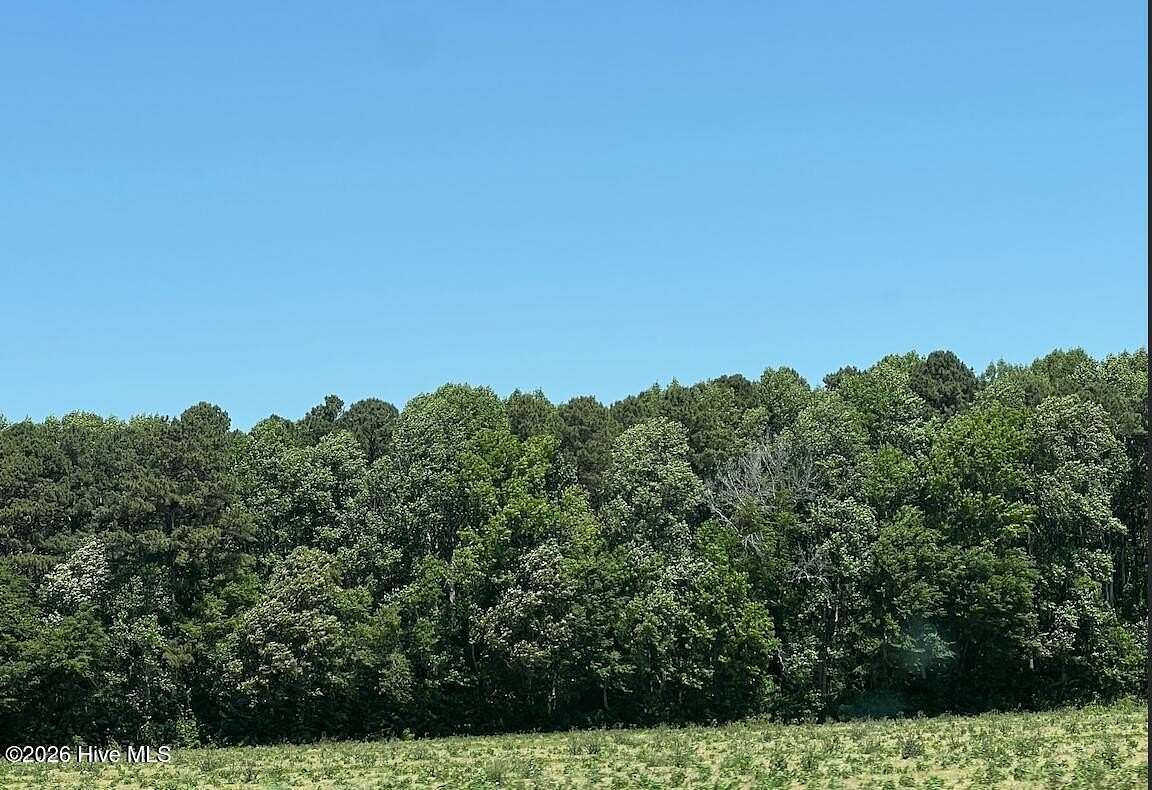 10 Acres of Residential Land for Sale in Camden, North Carolina