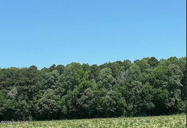 10 Acres of Residential Land for Sale in Camden, North Carolina