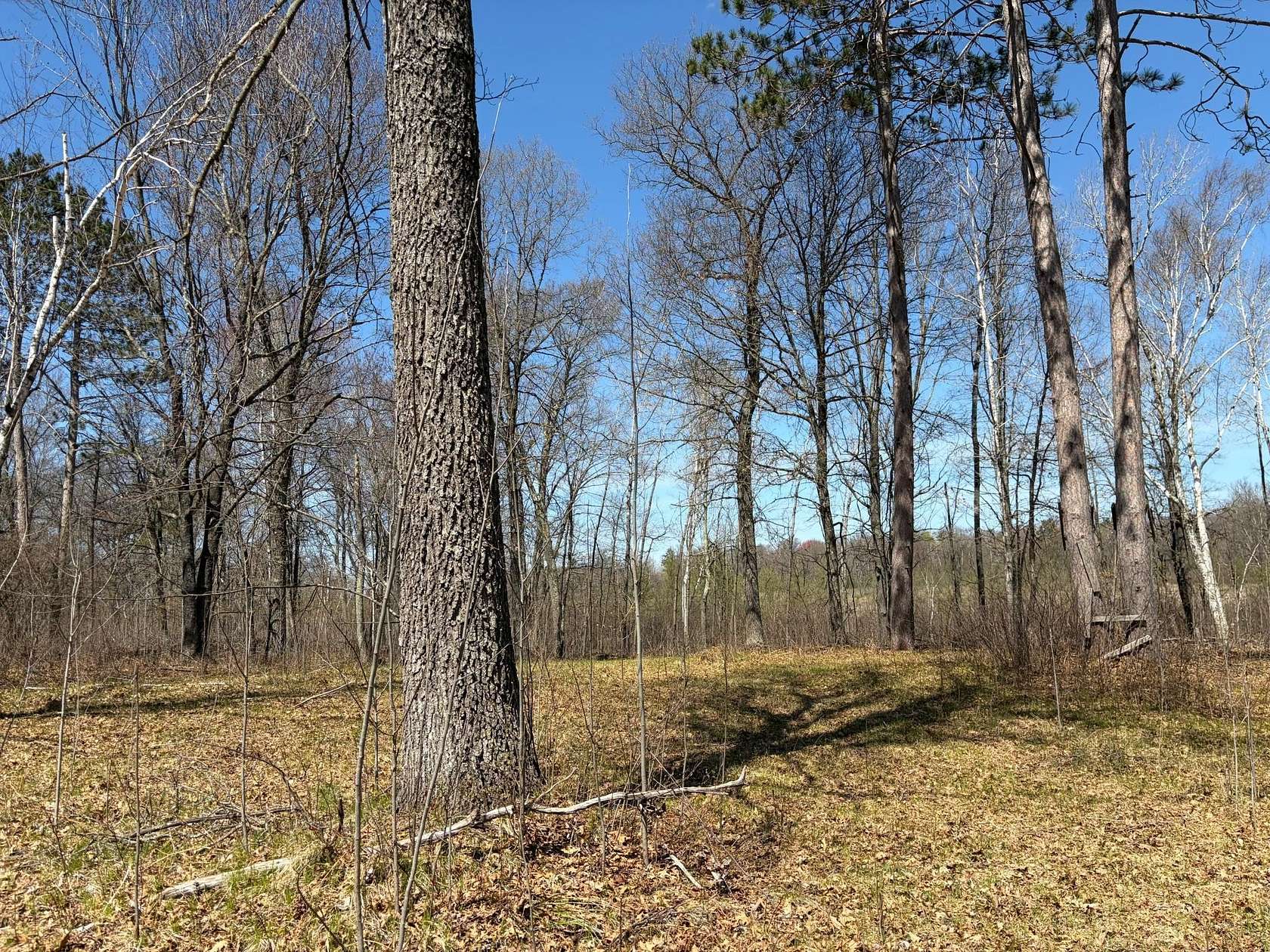 2 Acres of Residential Land for Sale in Spooner, Wisconsin