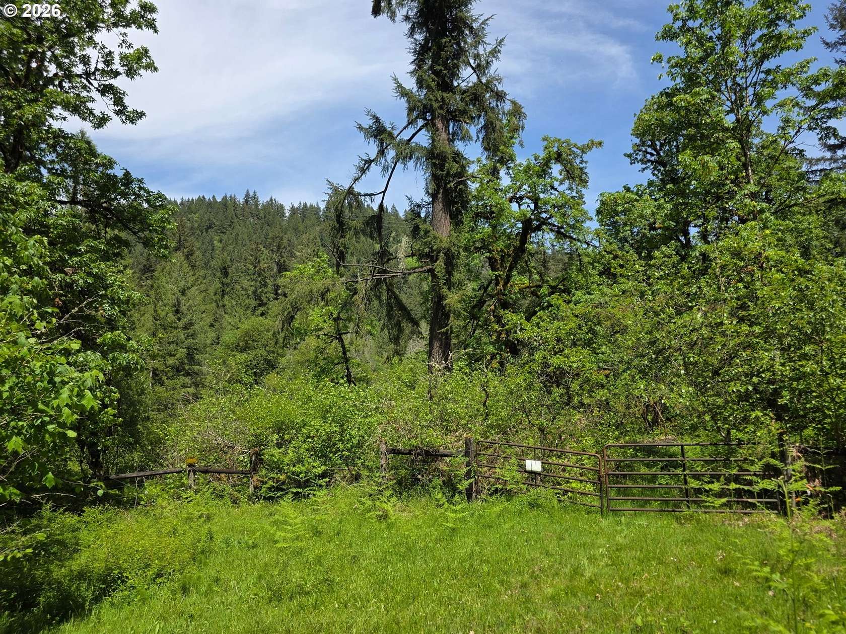 31.7 Acres of Land for Sale in Silverton, Oregon