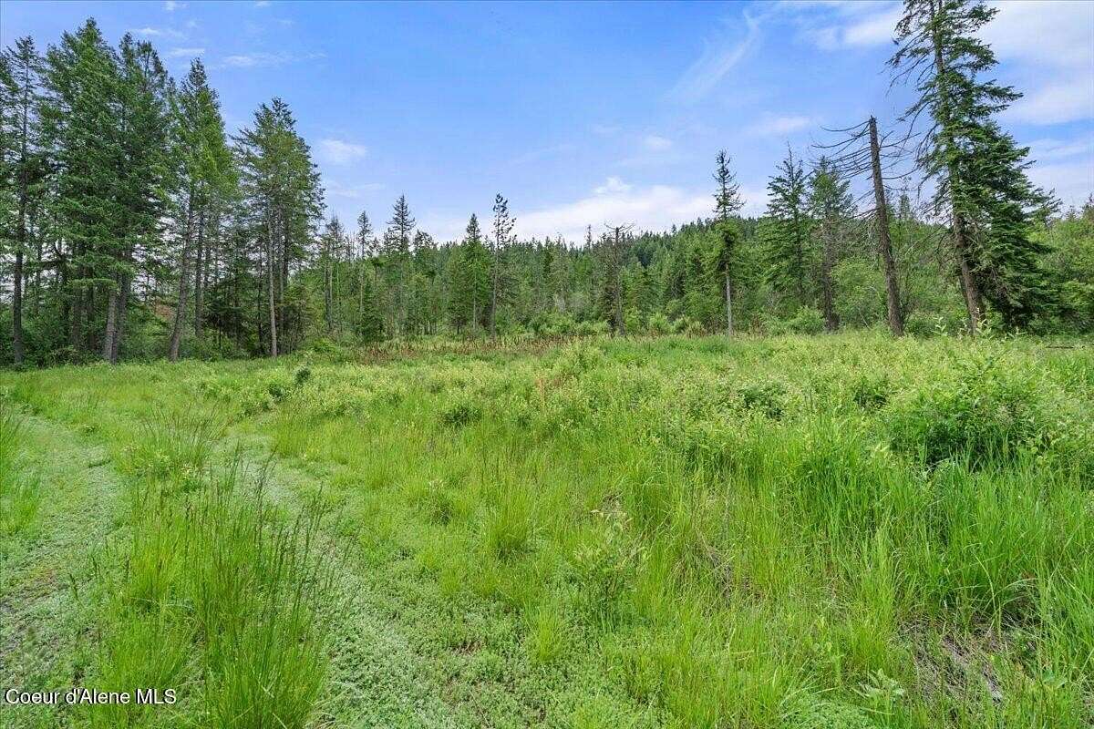 20 Acres of Recreational & Residential Land for Sale in Worley, Idaho