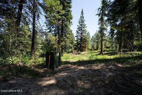 20 Acres of Land for Sale in Worley, Idaho