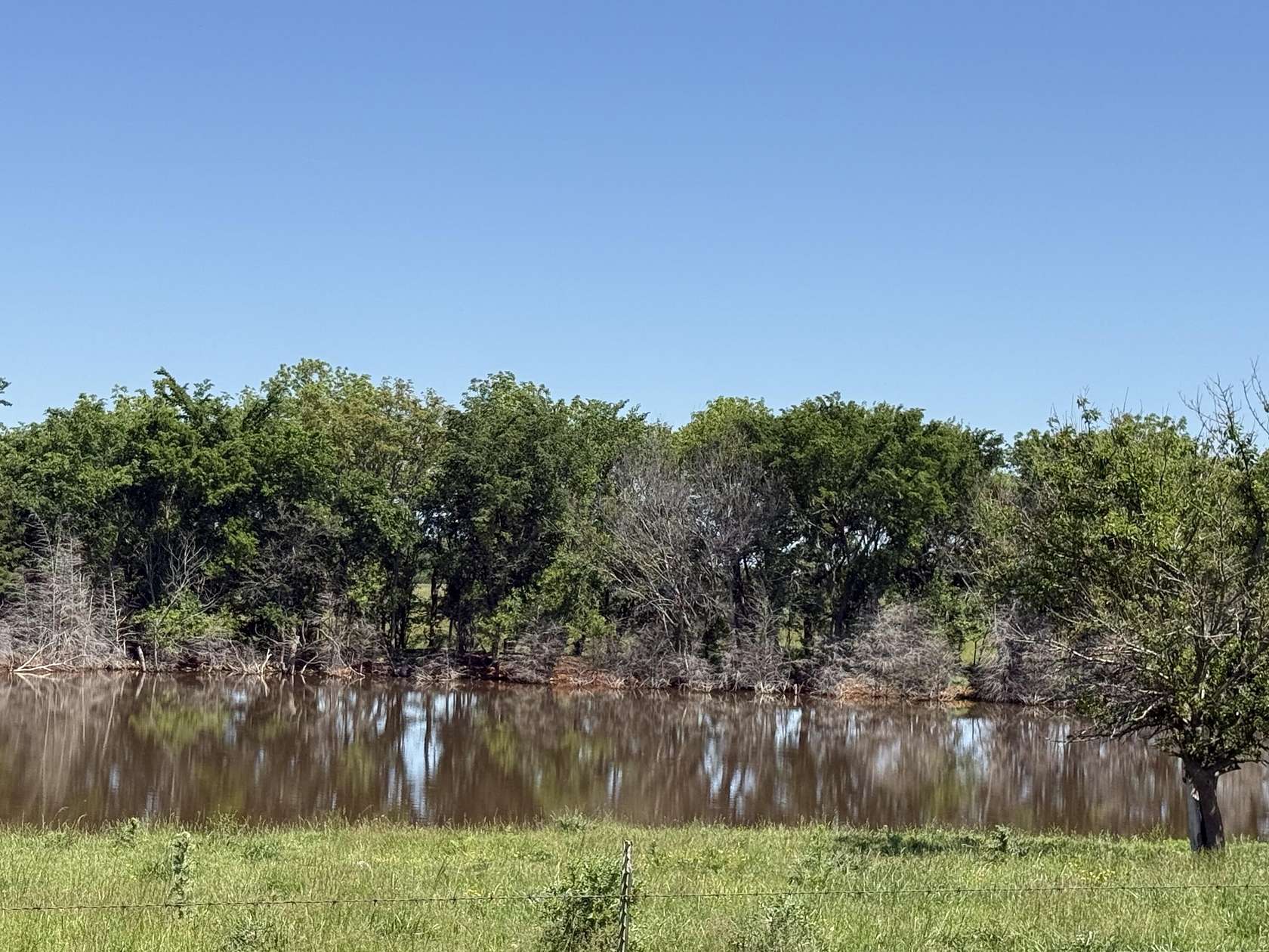 114 Acres of Agricultural Land for Sale in Aurora, Missouri
