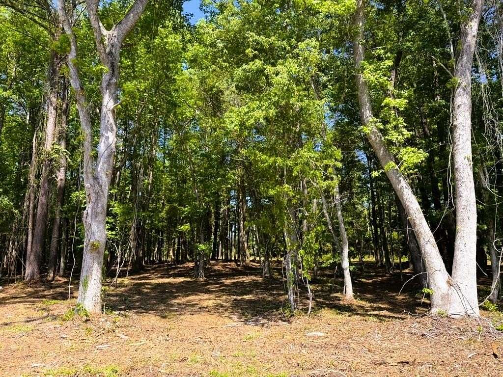 3.19 Acres of Commercial Land for Sale in McClellanville, South Carolina