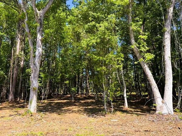 3.19 Acres of Commercial Land for Sale in McClellanville, South Carolina