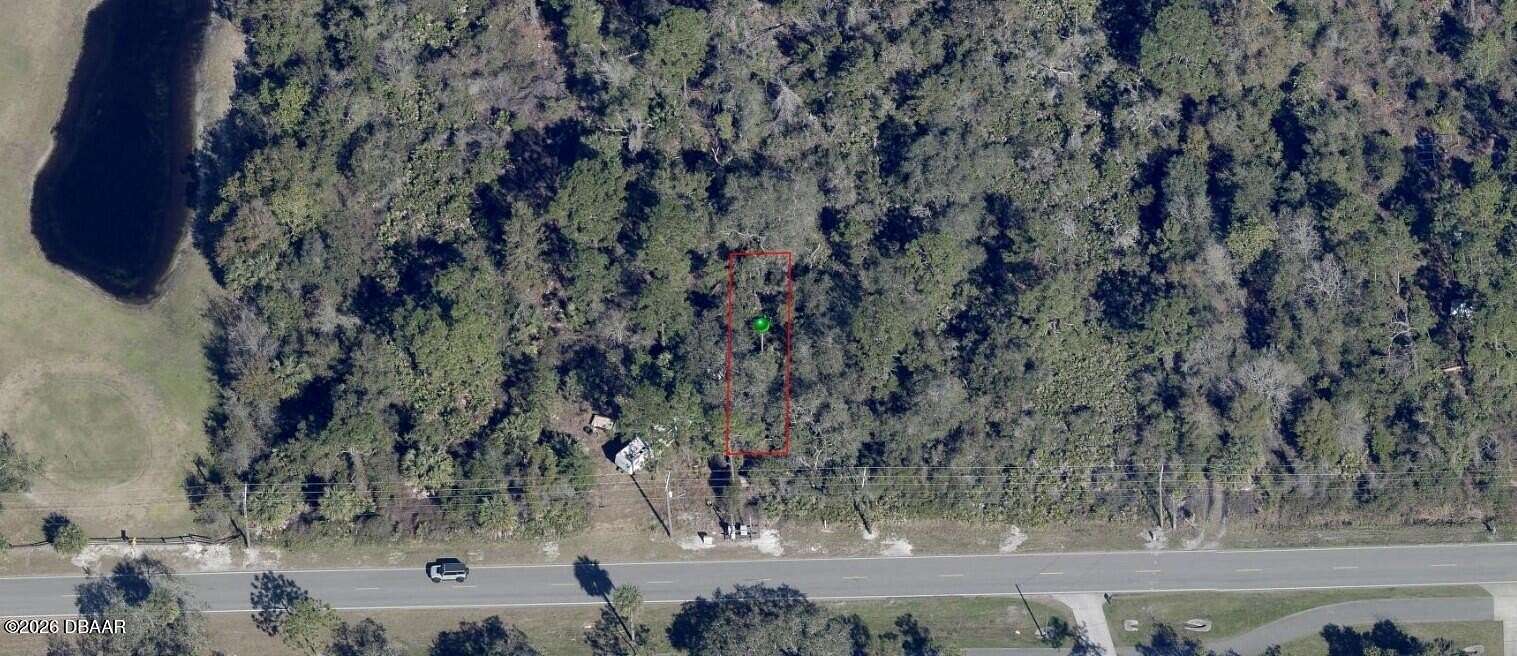 1 Acre of Residential Land for Sale in Osteen, Florida
