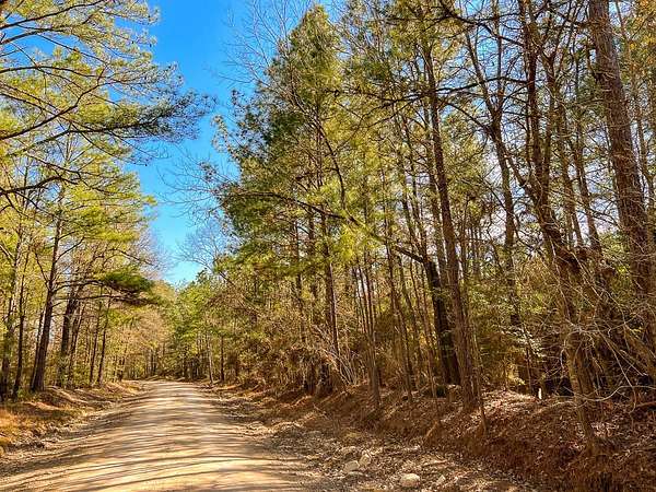 50 Acres of Land for Sale in Corrigan, Texas