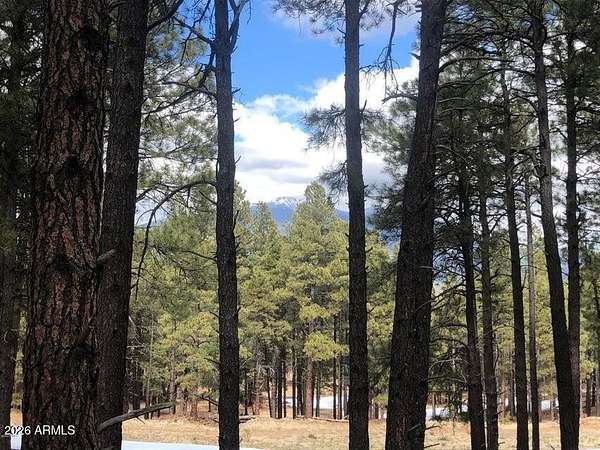 2.44 Acres of Residential Land for Sale in Flagstaff, Arizona