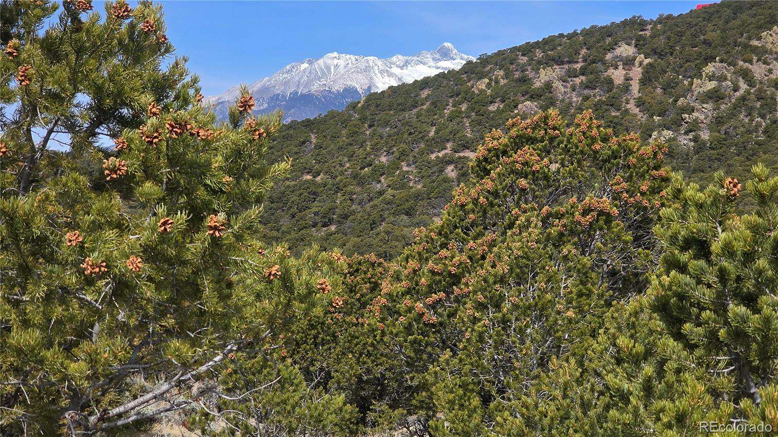 5 Acres of Residential Land for Sale in Fort Garland, Colorado