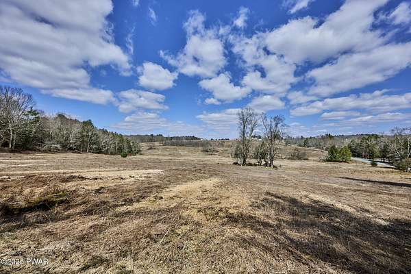 56.6 Acres of Agricultural & Residential Land for Sale in Cochecton Town, New York