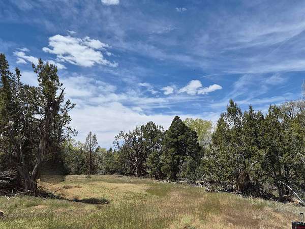 1.22 Acres of Residential Land for Sale in Dolores, Colorado