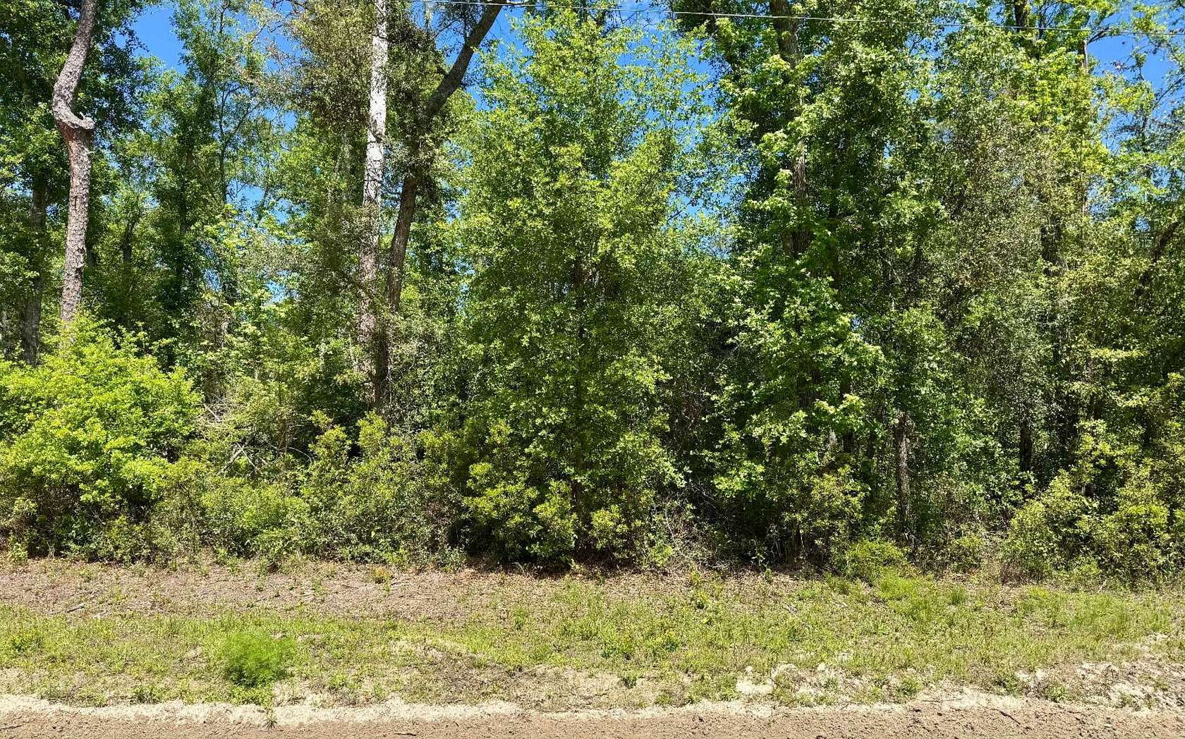 5 Acres of Agricultural Land for Sale in Jennings, Florida
