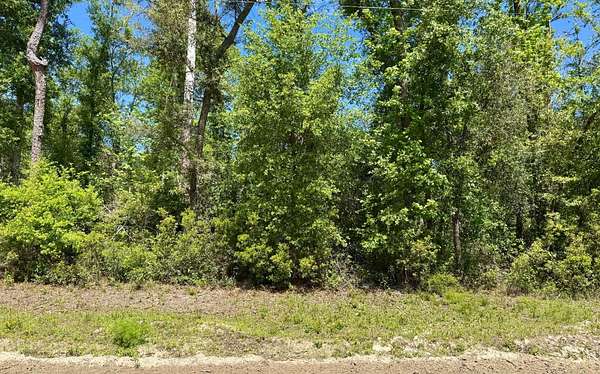 5 Acres of Agricultural Land for Sale in Jennings, Florida