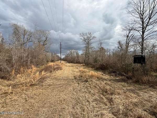 470 Acres of Land for Sale in Reeves, Louisiana