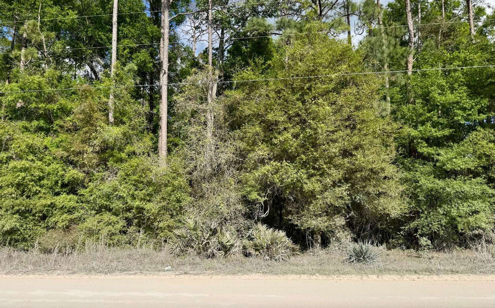 4 Acres of Land for Sale in O'Brien, Florida