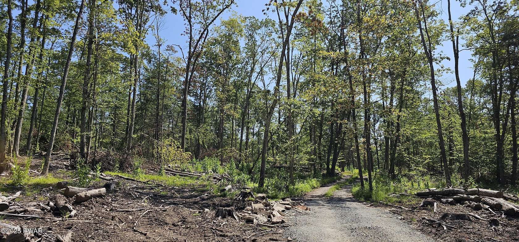79 Acres of Recreational & Residential Land for Sale in Narrowsburg, New York