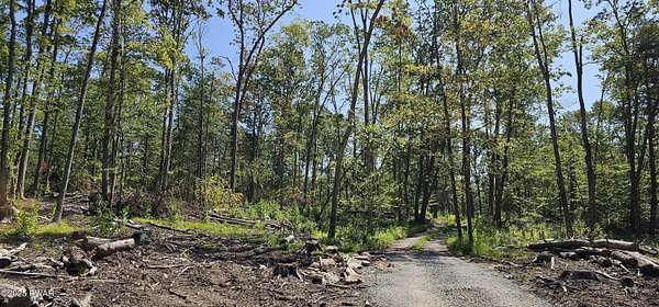 79 Acres of Recreational & Residential Land for Sale in Narrowsburg, New York