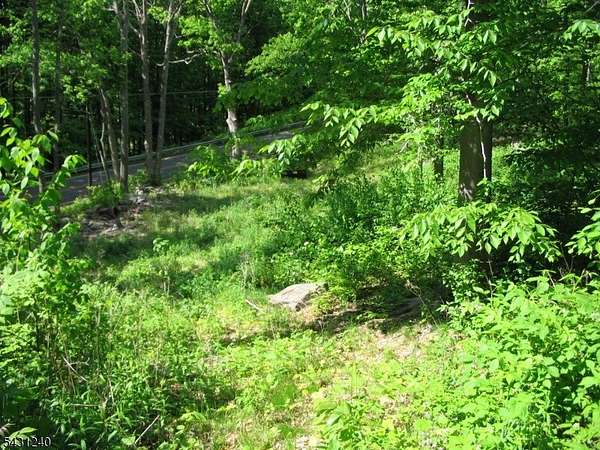 17.2 Acres of Land for Sale in Wantage Township, New Jersey