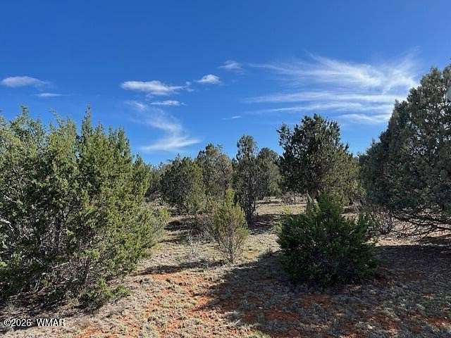 0.58 Acres of Residential Land for Sale in Overgaard, Arizona
