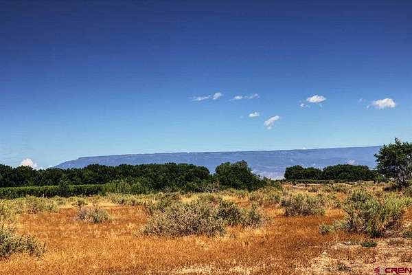 3.53 Acres of Land for Sale in Montrose, Colorado