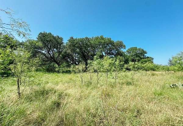 12 Acres of Agricultural Land for Sale in Brownwood, Texas