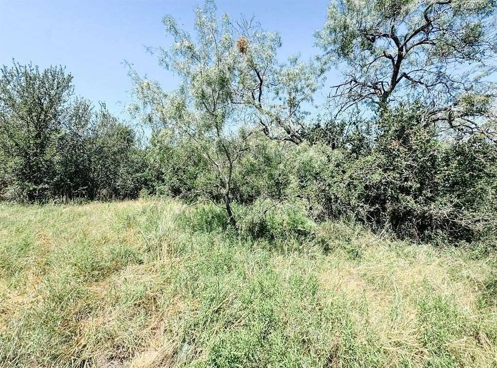 18 Acres of Land for Sale in Brownwood, Texas