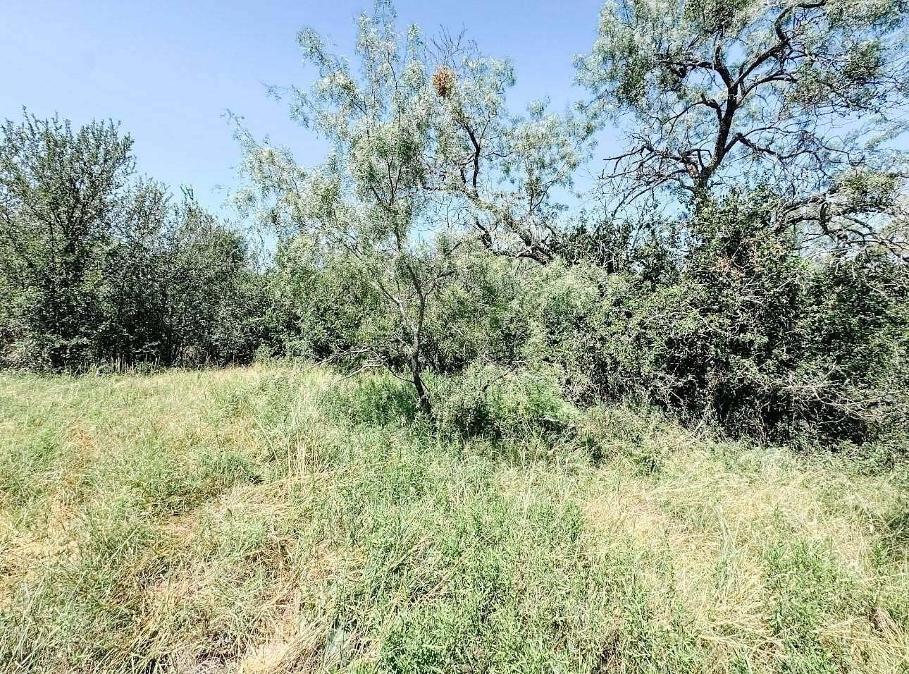 18 Acres of Land for Sale in Brownwood, Texas