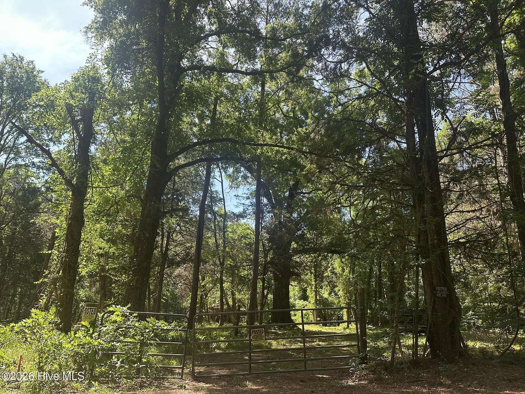 6 Acres of Residential Land for Sale in Washington, Georgia