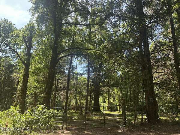 6 Acres of Residential Land for Sale in Washington, Georgia