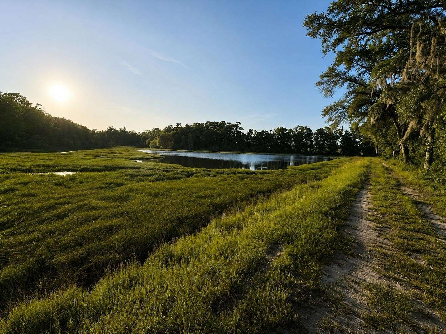56.2 Acres of Land for Sale in Havana, Florida
