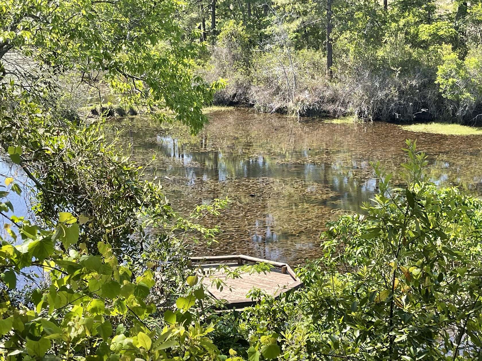11.1 Acres of Land with Home for Sale in Aiken, South Carolina