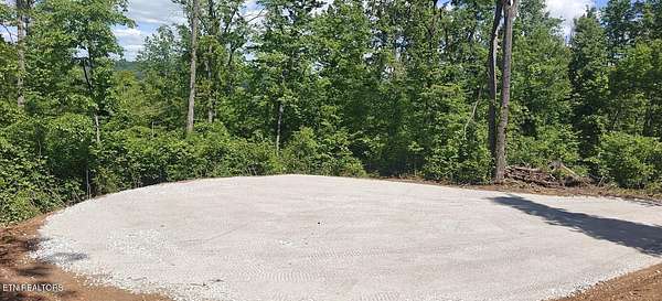 11.5 Acres of Land for Sale in New Tazewell, Tennessee