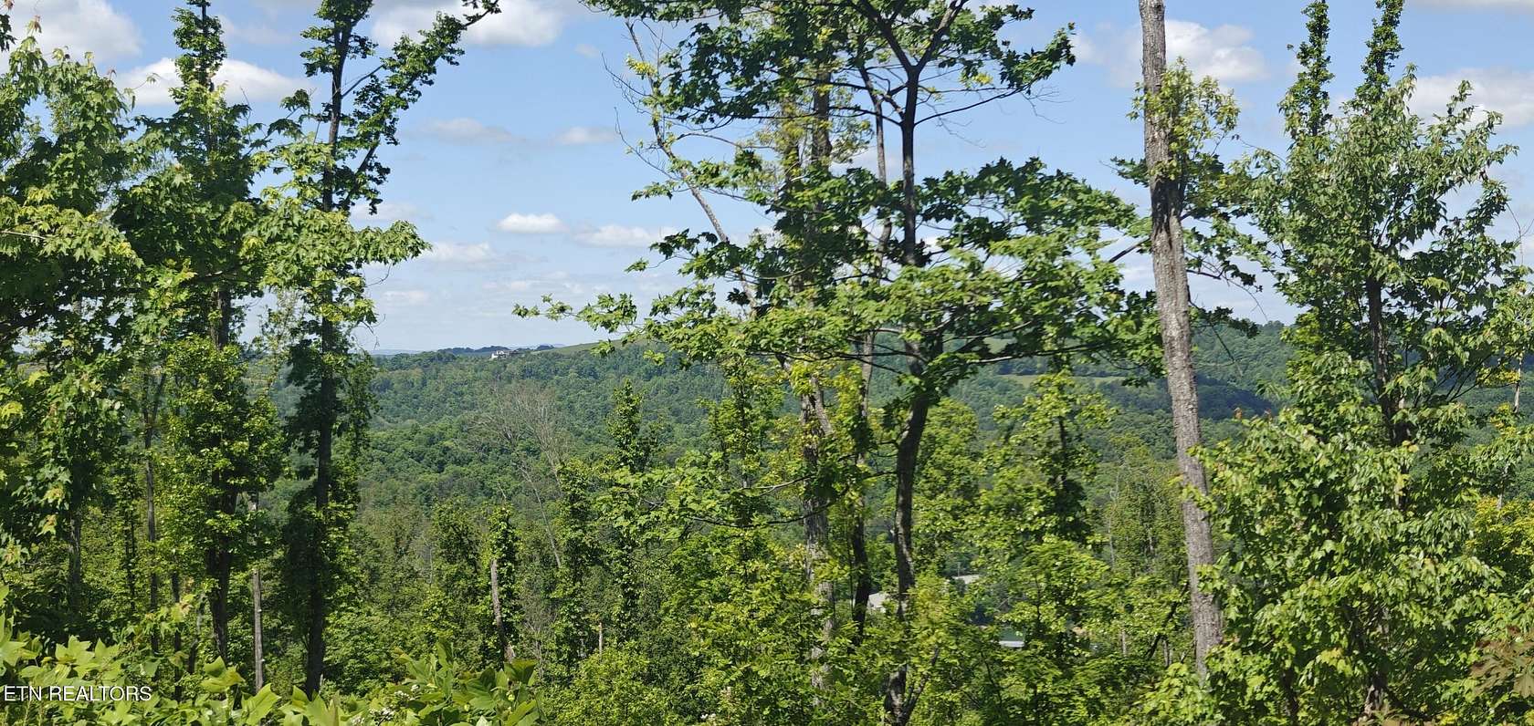 9.44 Acres of Residential Land for Sale in New Tazewell, Tennessee