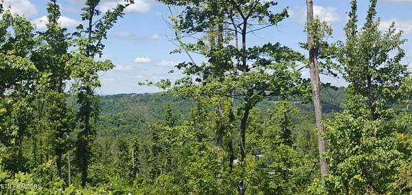 9.44 Acres of Residential Land for Sale in New Tazewell, Tennessee